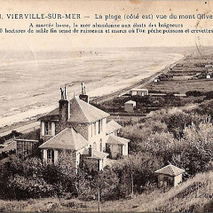 plage_cote_est_vu_du_mont_olive (2).png